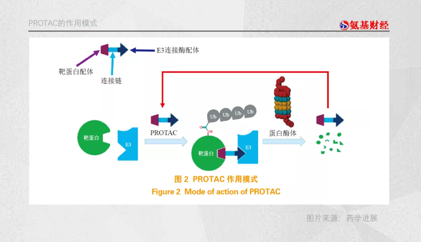 PROTAC，小分子药物的“百忧解”？