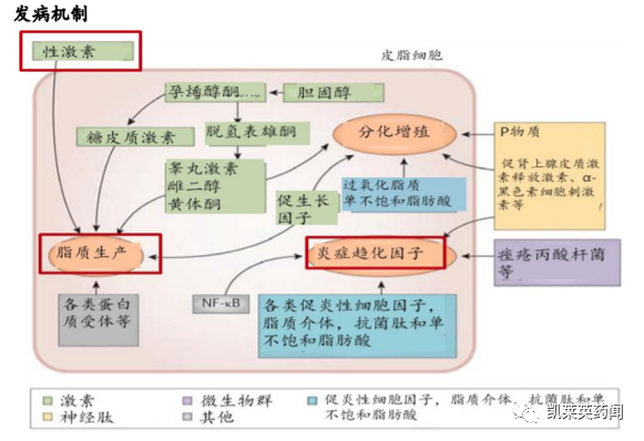 新药巡礼：超20余年无新药上市，福瑞他恩有望打破雄秃治疗困局