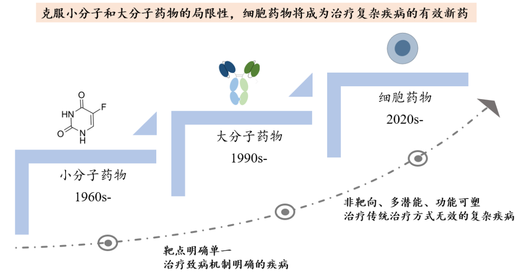 多能干细胞成药潜能突出，开创干细胞药物新纪元！