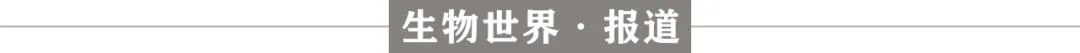 CRISPR专利大战再起波澜，诺奖团队指责张锋实验室不正当获取早期CRISPR研究信息