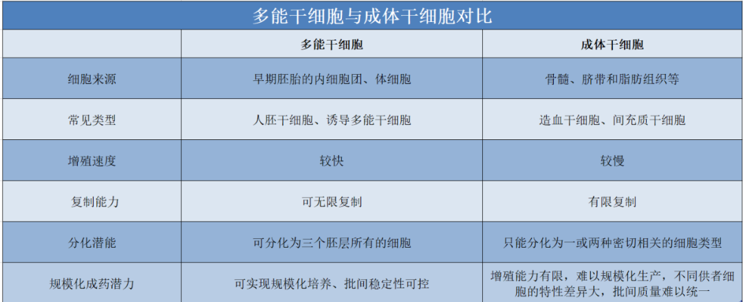 多能干细胞成药潜能突出，开创干细胞药物新纪元！