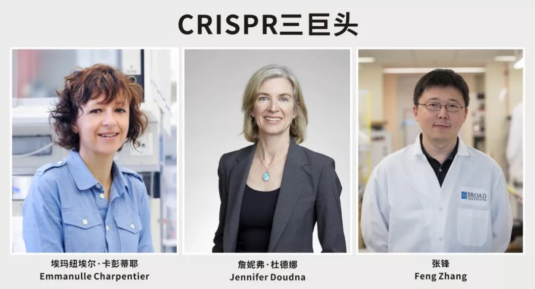 CRISPR专利大战再起波澜，诺奖团队指责张锋实验室不正当获取早期CRISPR研究信息