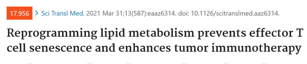 干货分享：癌症中的脂质代谢