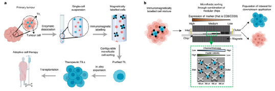 120万一针的抗癌药价格有望降低！新型细胞分选技术助力过继性免疫治疗
