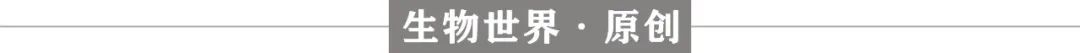 告别针头注射：口服胶囊mRNA疫苗要来了！这次乌龟又立功了？