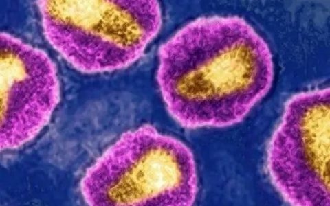 Science重磅：一种更严重、传播更快的HIV突变株已出现