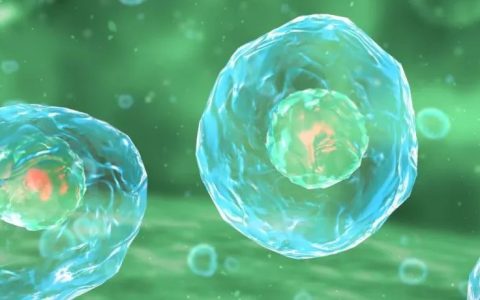 Nat Biomed Eng：科学家有望利用糖分子来追踪体内的人类间充质干细胞