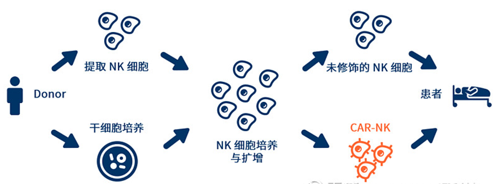 重磅！全球CAR-NK细胞疗法全景图