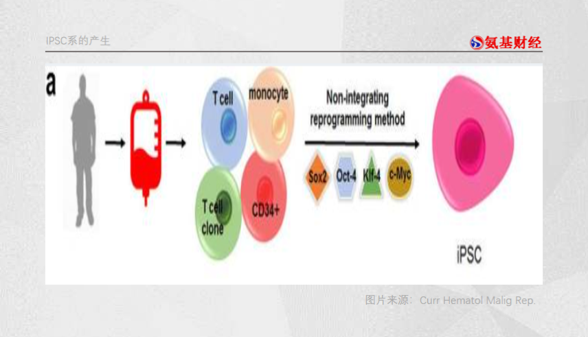 CAR-T天价之痛，IPSC来解？