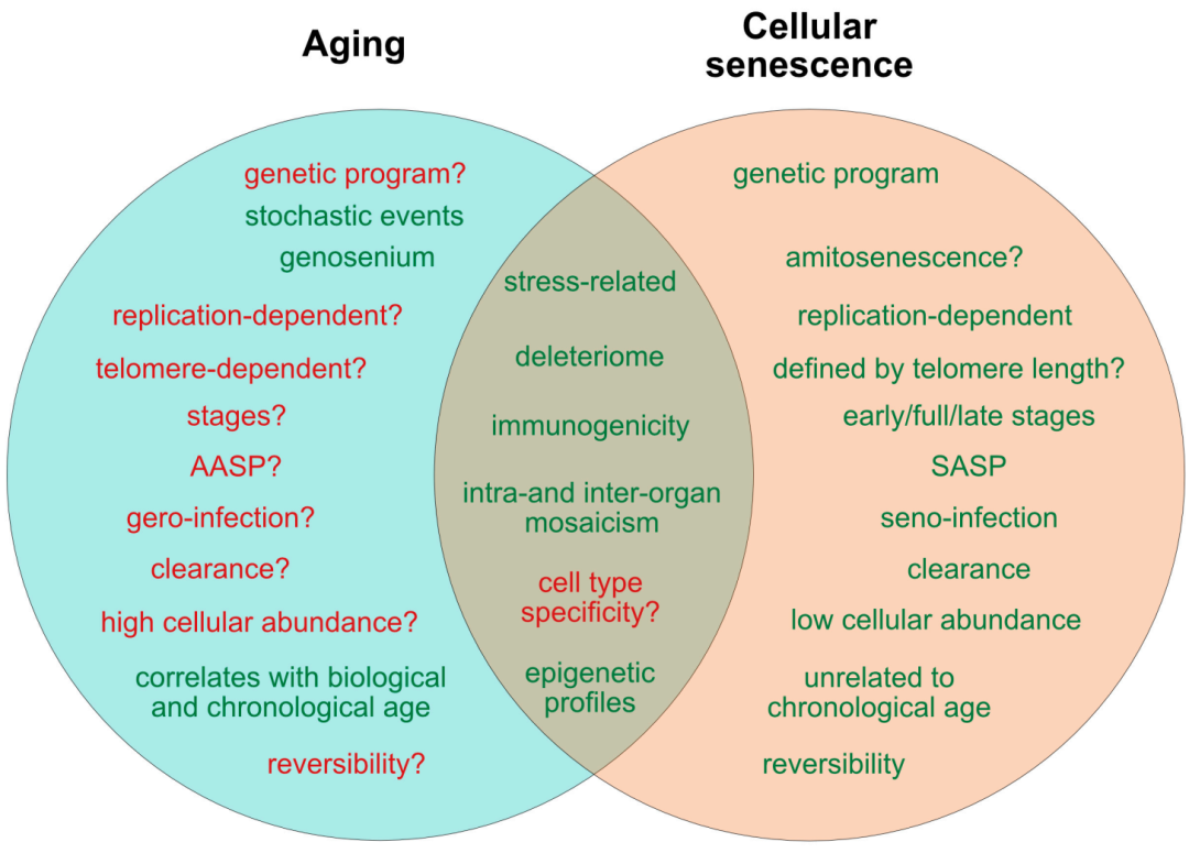 一文了解“细胞衰老（senescence)”