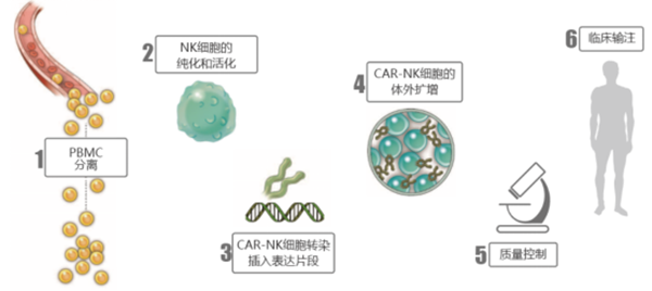 重磅！全球CAR-NK细胞疗法全景图