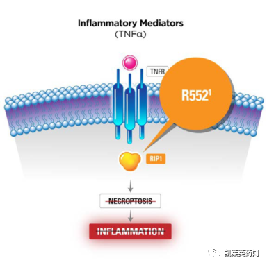 顶级药企斥巨资入局，RIPK1靶点如何成为潜力股？