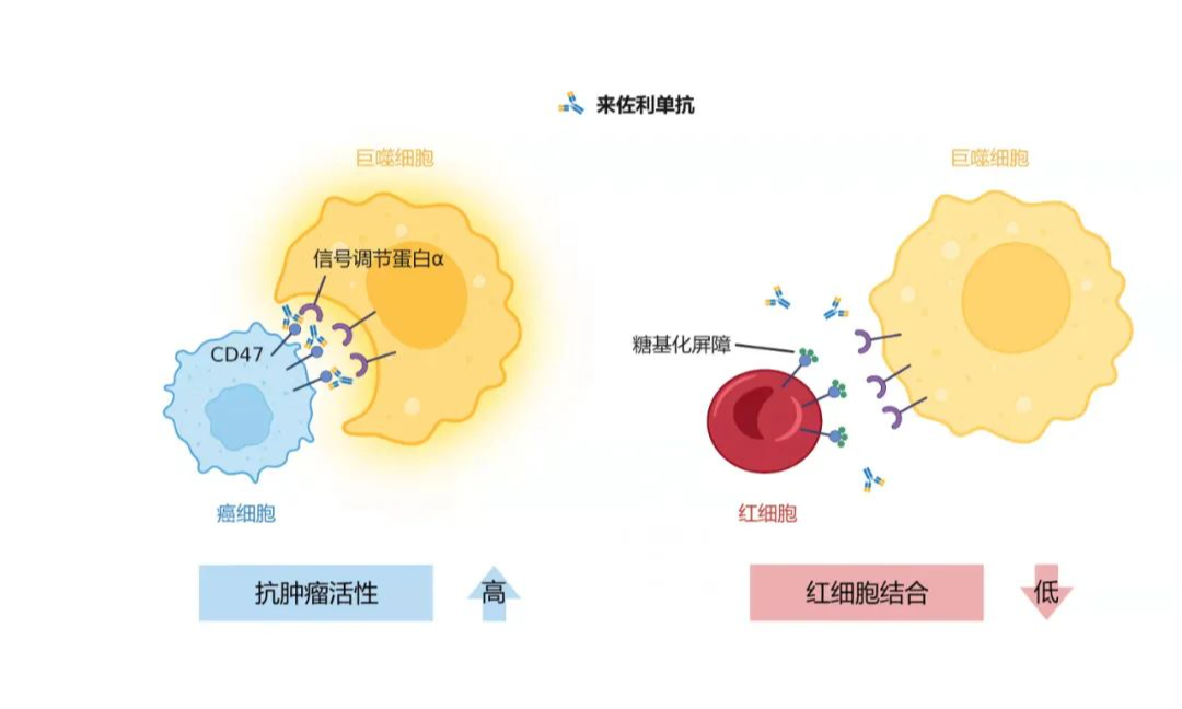 回望创新药的2021：内卷之下，行业呼唤差异化创新