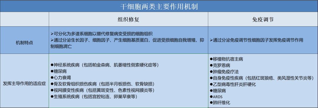 多能干细胞成药潜能突出，开创干细胞药物新纪元！