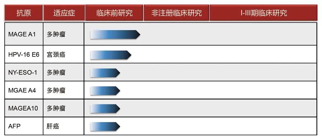 细胞疗法新“革命”——TCR-T疗法全球研发概览