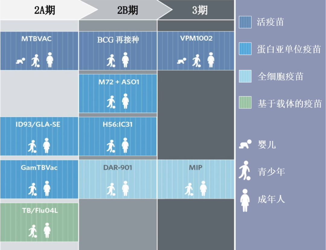 结核，被遗忘的瘟疫