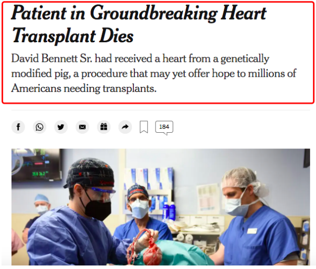 全球首例猪心移植患者去世，比首例「同种移植」多活了一个月，研究者表示，“改变异种移植领域新格局”