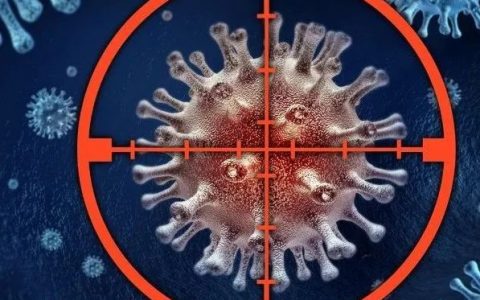 两年后，高福院士发布了一份武汉「华南海鲜市场」病毒来源的调查报告