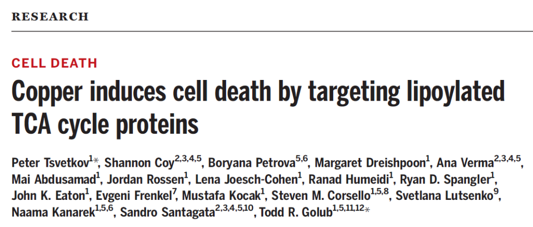 4天前！Science重磅发现：除了铁死亡，还有铜死亡！