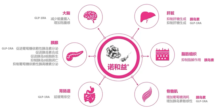 ​最具科学家底色的跨国药企，又在中国上市了一款「全球首创药品」，深挖产品、公司、行业背后的逻辑——独家专访诺和诺德张克洲