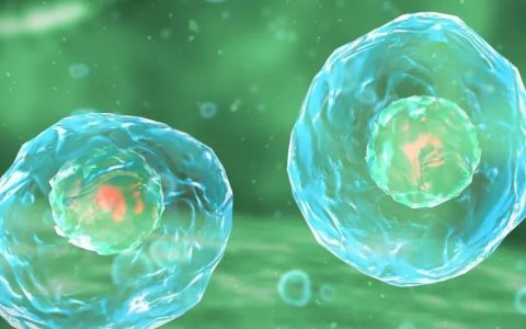 Cancer Cell 「2万字」长文综述：微生物与癌症