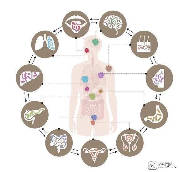 Cancer Cell 「2万字」长文综述：微生物与癌症