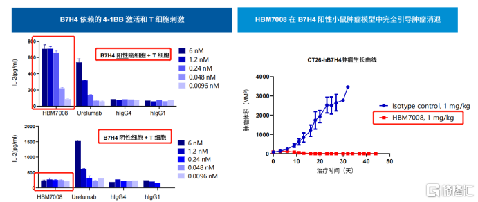 和铂医药-B (02142.HK)引领肿瘤免疫，澳洲IRB批准HBM7008临床申请