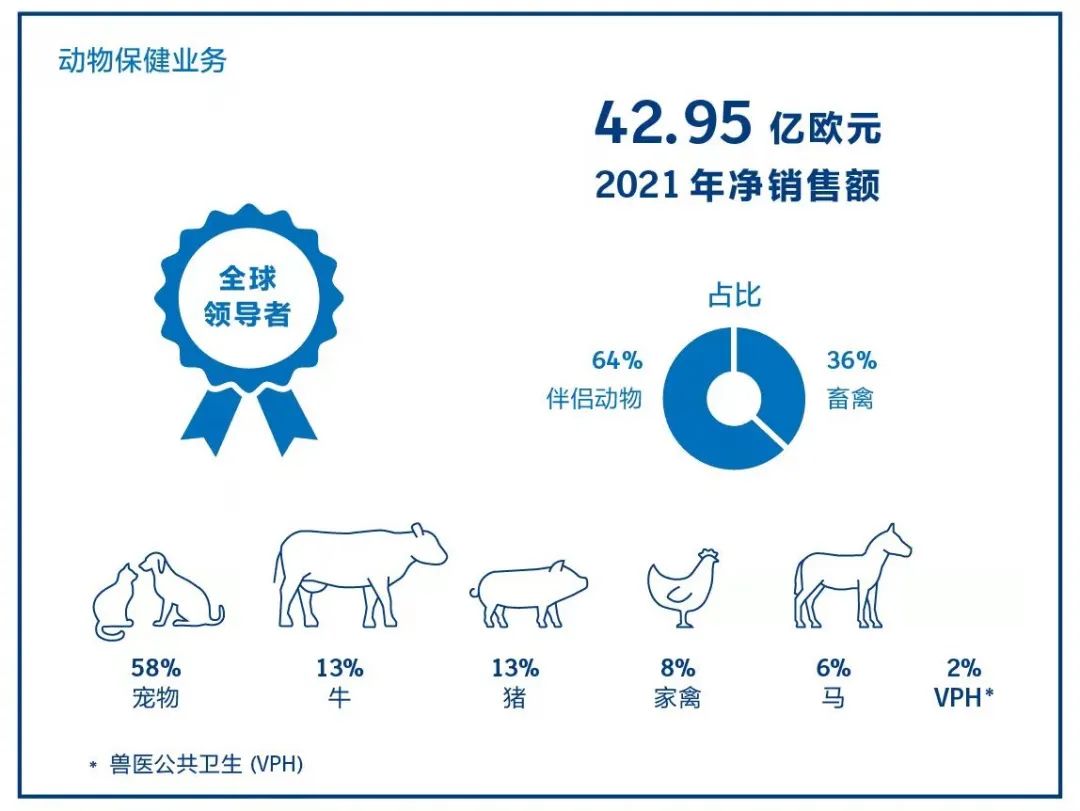 研发投入打破137年历史纪录！这家「在华业务最多元化」的跨国药企，2021年业绩依旧出色