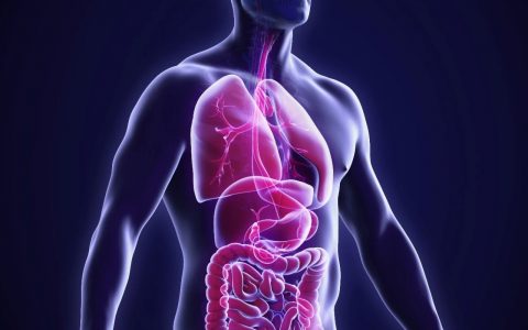 铜死亡到底是不是一种「独立的」细胞死亡方式？