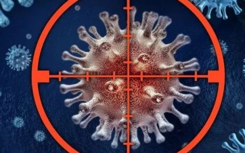 Viruses：药物治疗到底是否有用，小分子药物Molnupiravir治疗新冠有效性分析！