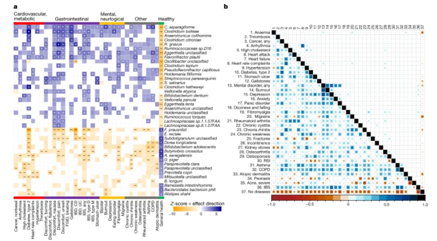 Nature：科学家揭示影响人肠道微生物群的环境因素！