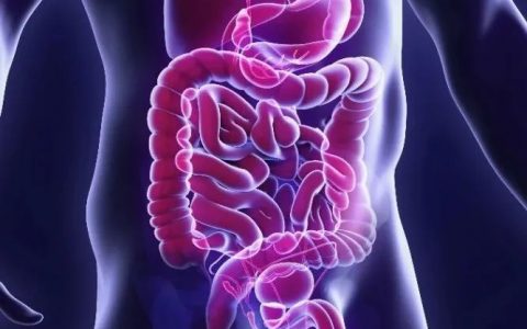 Nature：科学家揭示影响人肠道微生物群的环境因素！