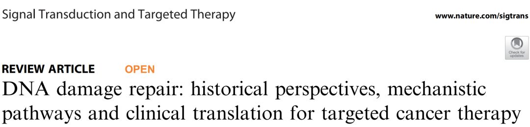 DNA损伤修复应用于靶向治疗发展历史，机制途径和临床转化的汇总