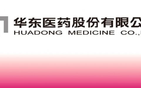 强势涨停！华东医药最新业绩引发热烈讨论  “创新药+医美+工微”驱动全球化布局