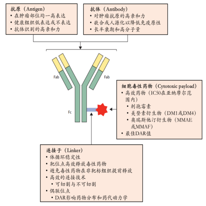 ADC药物创新之路