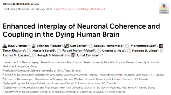 濒死前，你会看到什么？科学家首次记录即将死亡的人类大脑活动