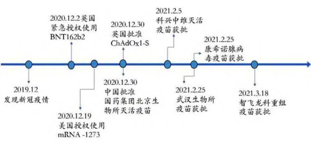 新冠疫苗综述，5大疫苗效果如何？