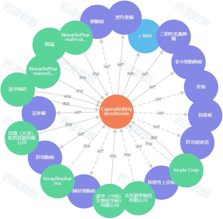 默克c-Met抑制剂在华申报上市，江苏豪森、海和药物多企布局，后来者还有机会吗？