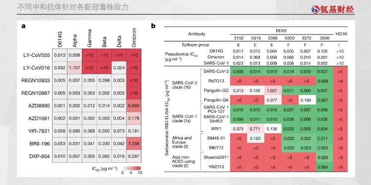 接近团灭：新冠中和抗体的今天，抗疫概念股的明天