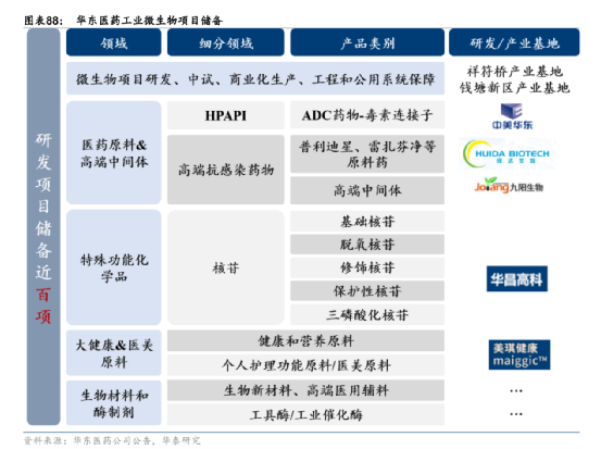 强势涨停！华东医药最新业绩引发热烈讨论  “创新药+医美+工微”驱动全球化布局