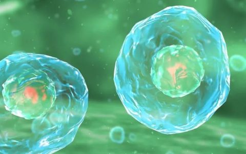 生物分子如何穿过细胞膜？