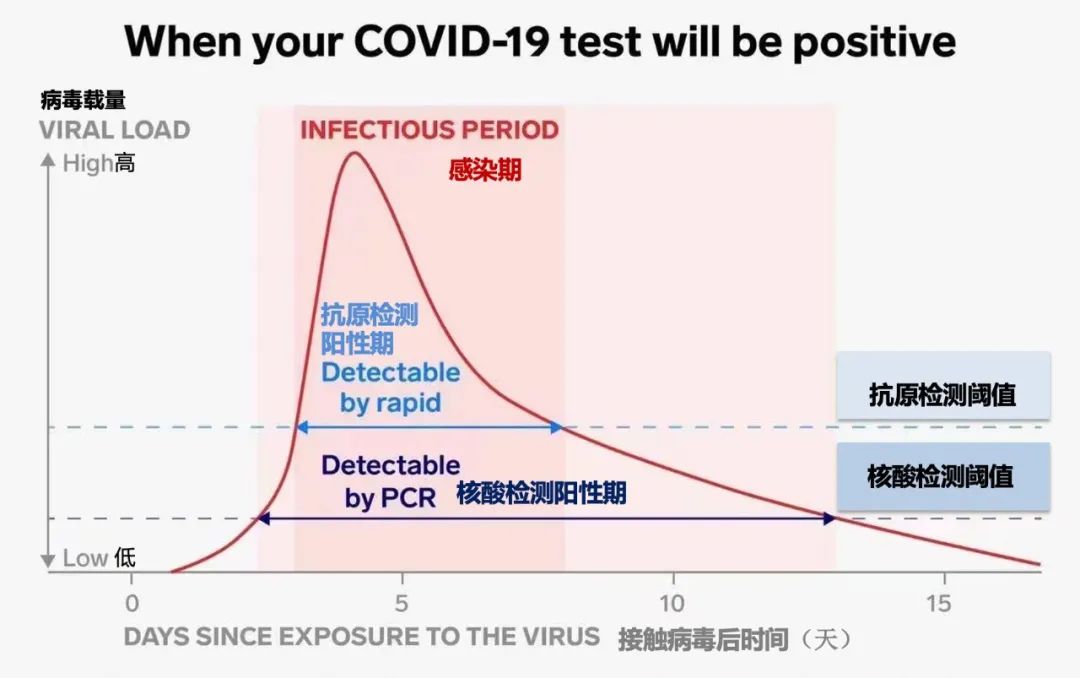 抗原检测出现“中队长”，需要慌吗？一文解读抗原和核酸检测的差异