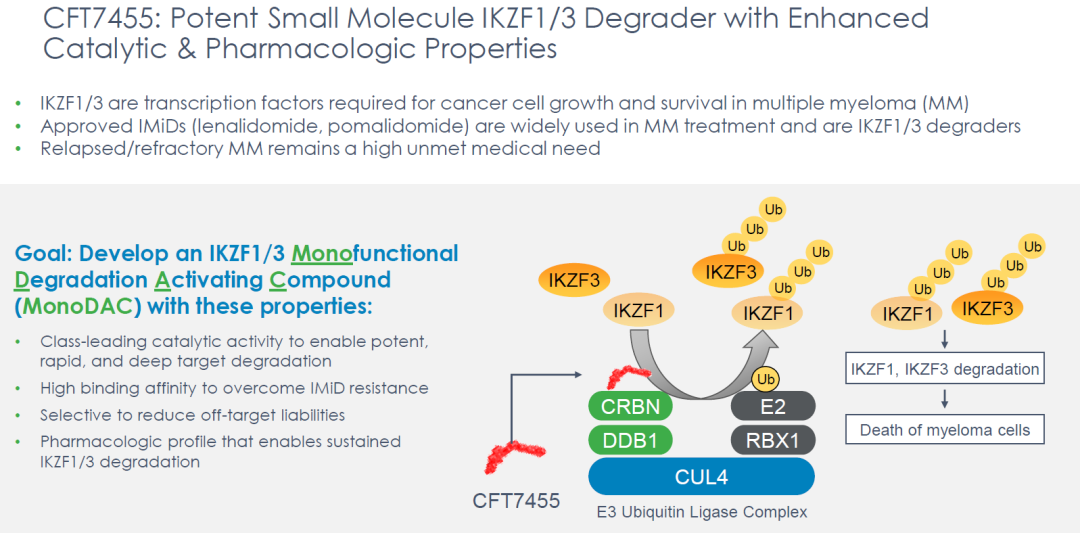 PROTAC：CFT7455安全性堪忧、C4 Therapeutics股价腰斩