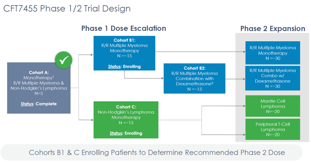 PROTAC：CFT7455安全性堪忧、C4 Therapeutics股价腰斩