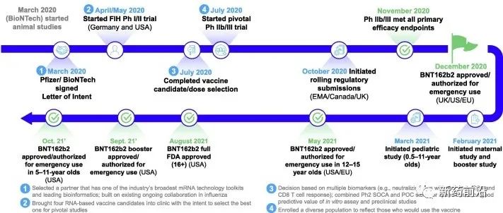 辉瑞“光速”开发出新冠药秘诀：临床成功率10年增长10倍！