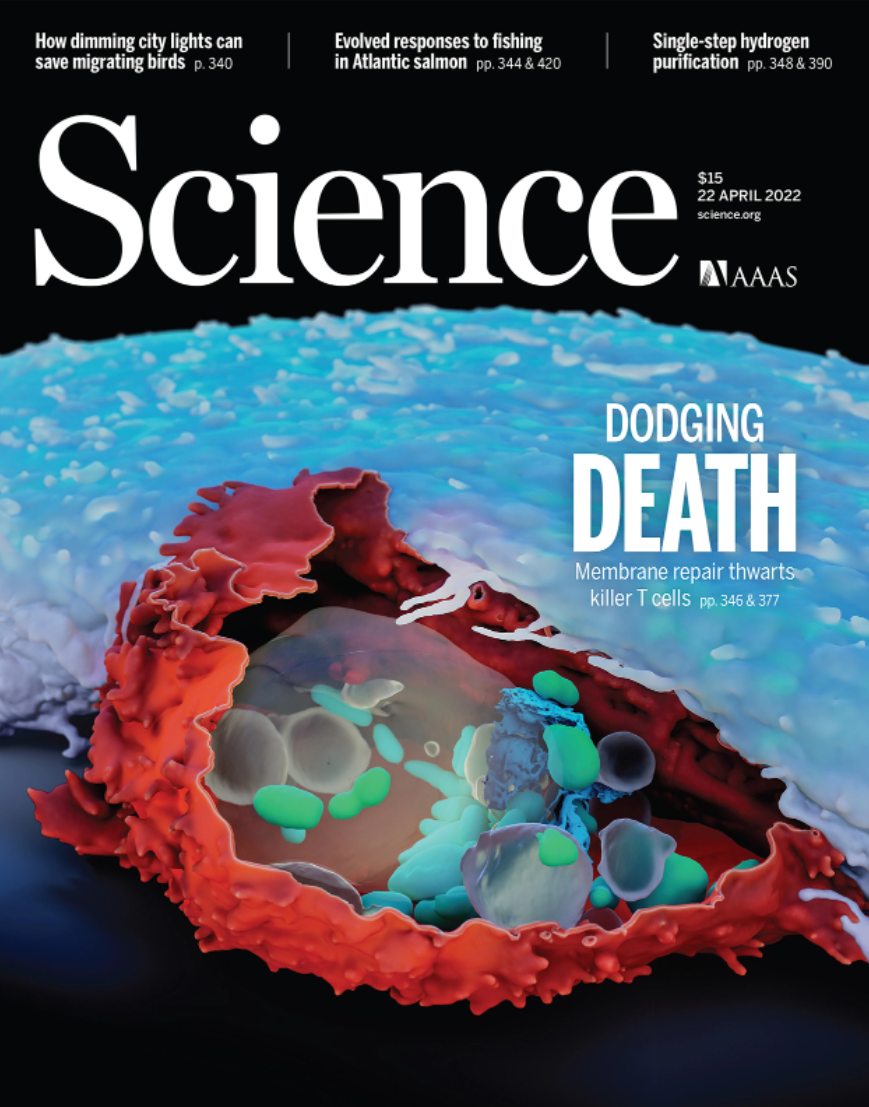 Science封面：基因泰克最新论文，发现癌症免疫治疗新靶点ESCRT