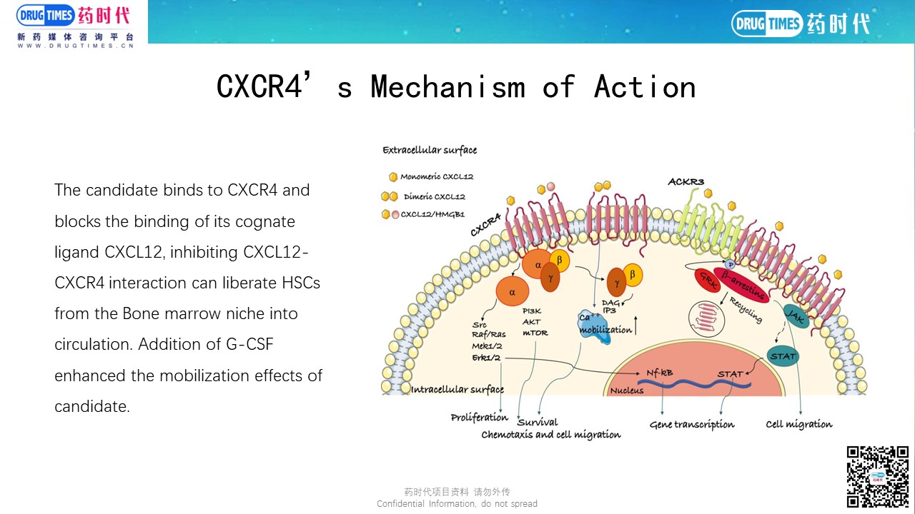 Oncology Project Target for CXCR4