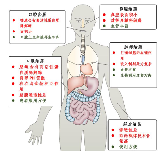 自古华山一条道，“注射”是大分子药物唯一的给药途径？