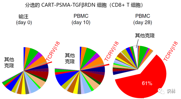 Nature 子刊论文：实体瘤 CAR-T 的关键挑战，以及临床 I 期死亡病例分析