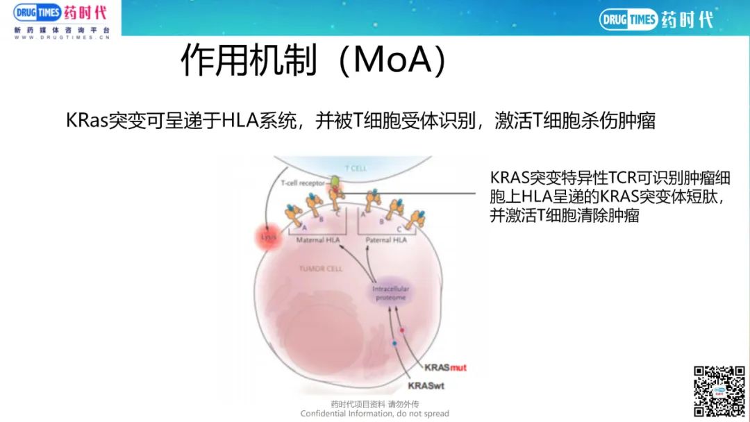 药时代BD-007项目 | 潜在FIC KRas靶向的TCR项目寻求合作，转让国内/全球权益